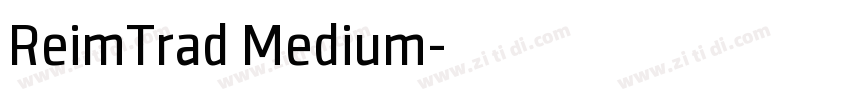 ReimTrad Medium字体转换